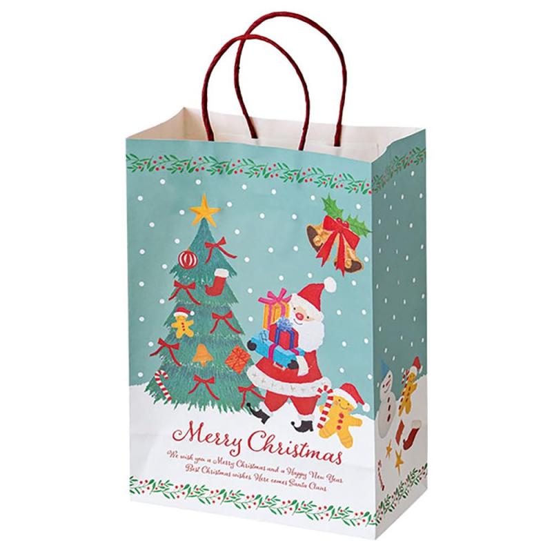 ヘッズ 袋 22×12×31cm ブルー 50枚 クリスマスオイルパステルペーパーバッグ HEADS XOP-1P