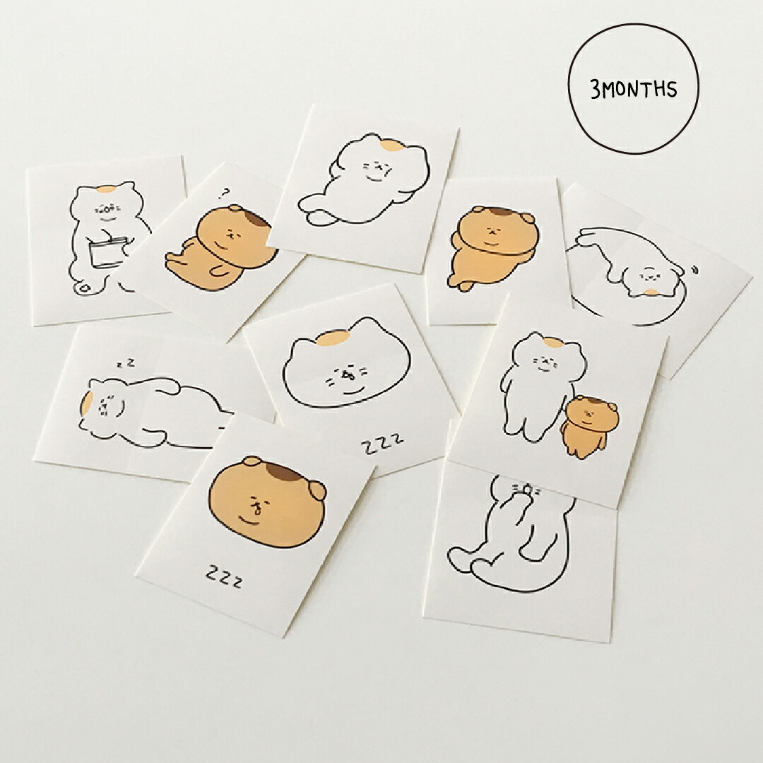 楽天市場 合計1 100円以上で送料無料 3months Lazy Sticker Pack ステッカー ウオン ブー キャラクター 猫 ネコ ねこ レディース 韓国ブランド 韓国雑貨 ステーショナリー シール かわいい おしゃれ 日本 販売 Astore