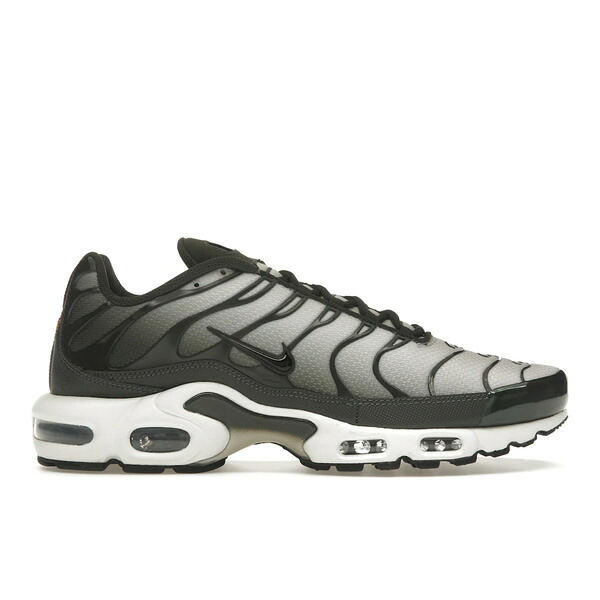 Nike ナイキ メンズ スニーカー 【Nike Air Max Plus Sequoia Cargo Khaki】 サイズ US_6.5(24.5cm) Sequoia/Cargo Khaki/Light Bone/Black|asty