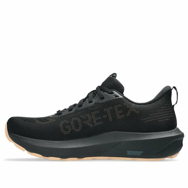 ASICS アシックス レディース スニーカー 【(WMNS) ASICS GT-1000 14 Gore Tex 'Black Misty Pine' 1012B857-002】 サイズ US_5.5(22.5cm)｜asty
