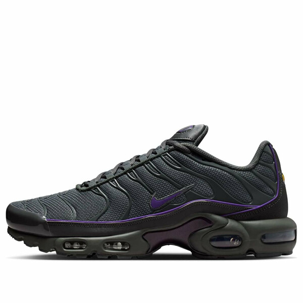 Nike ナイキ メンズ スニーカー 【Nike Air Max Plus 'Iron Grey Wild Grape' HV8066-001】 サイズ US_7(25.0cm)|asty
