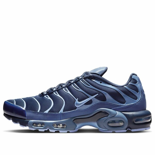 Nike ナイキ メンズ スニーカー  【Nike Air Max Plus \u0027Obsidian Aluminum\u0027 IM6601-451】  大いさ US_6(24.0糎)