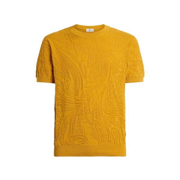 エトロ メンズ プルオーバー トップス Paisley-knit t-shirt Yellow
