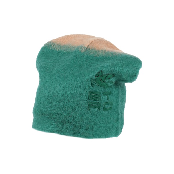 【送料無料】 エトロ メンズ 帽子 アクセサリー Hats Green