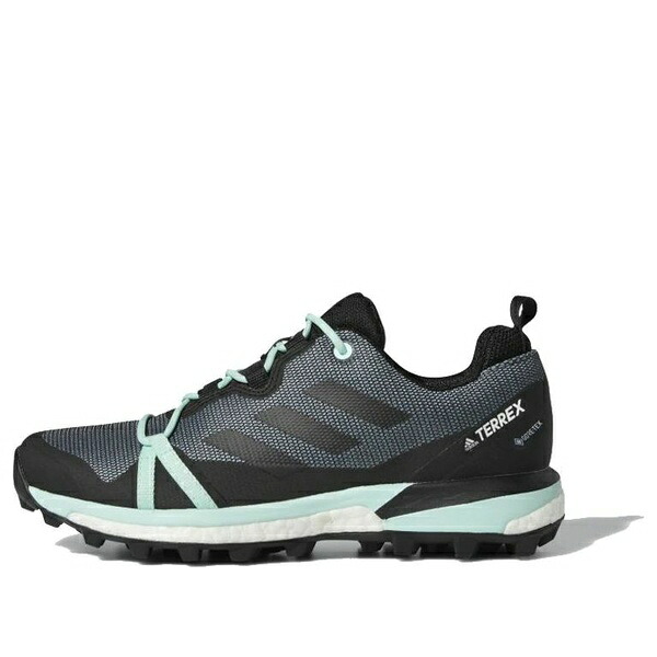 adidas アディダス レディース スニーカー 【(WMNS) adidas Terrex Skychaser LT GTX 'Ash Grey Mint' F36120】 サイズ US_7.5(24.5cm)｜asty