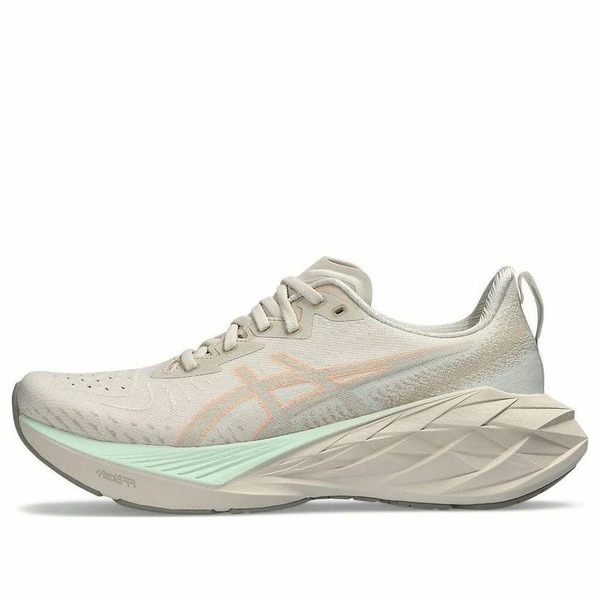 ASICS アシックス レディース スニーカー  【(WMNS) ASICS Novablast 4 \u0027Oatmeal Moonrock\u0027 1012B510-250】  大きさ US_W_12