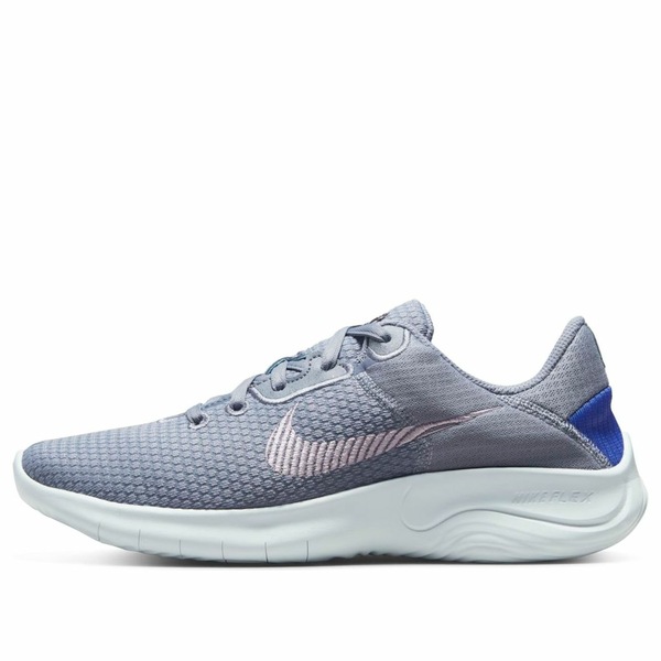Nike ナイキ レディース スニーカー  【(WMNS) Nike Flex Experience Run 11 Next Nature \u0027Ashen Slate Doll\u0027 DD9283-400】  大いさ US_6(23.0糎)