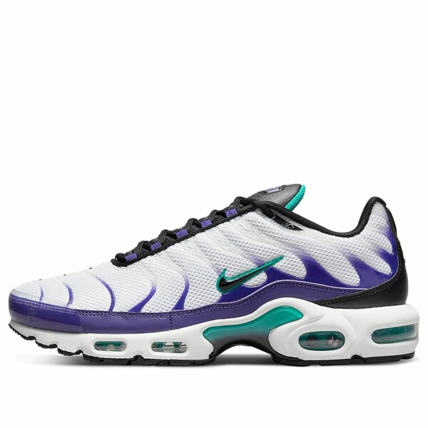 Nike ナイキ メンズ スニーカー  【Nike Air Max Plus \u0027Grape\u0027 DM0032-100】  大きさ US_10.5(28.5珊)