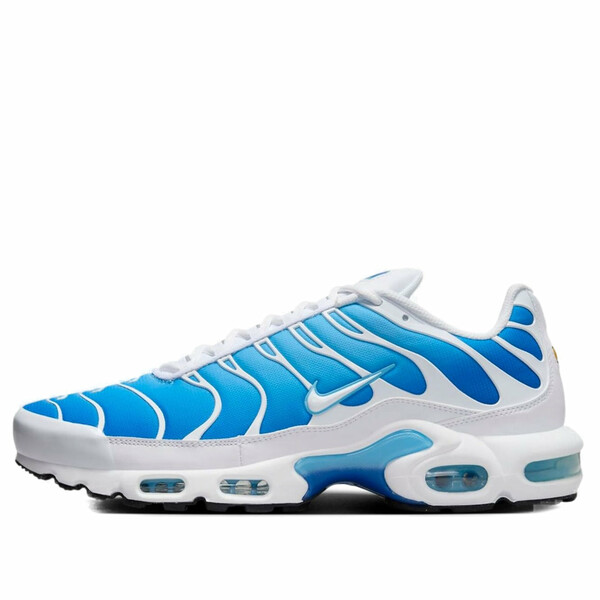 Nike ナイキ メンズ スニーカー 【Nike Air Max Plus 'Sky Blue' 852630-411】 サイズ US_11(29.0cm)|asty