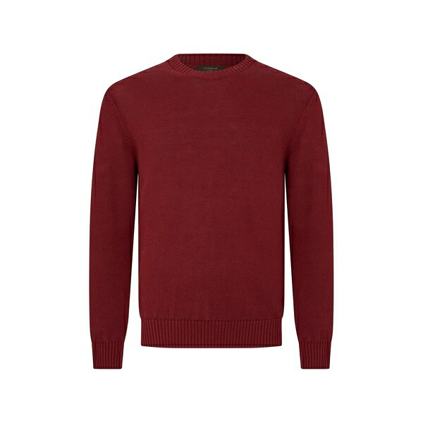スローウエア メンズ ニット&セーター アウター Crewneck knitted sweater Red|asty