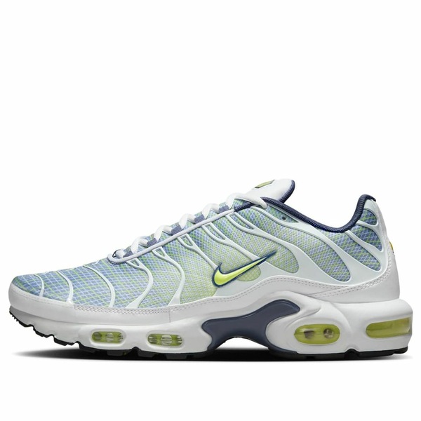 Nike ナイキ メンズ スニーカー  【Nike Air Max Plus \u0027Pebble Grey Lime\u0027 HV6227-001】  大きさ US_10(28.0糎)