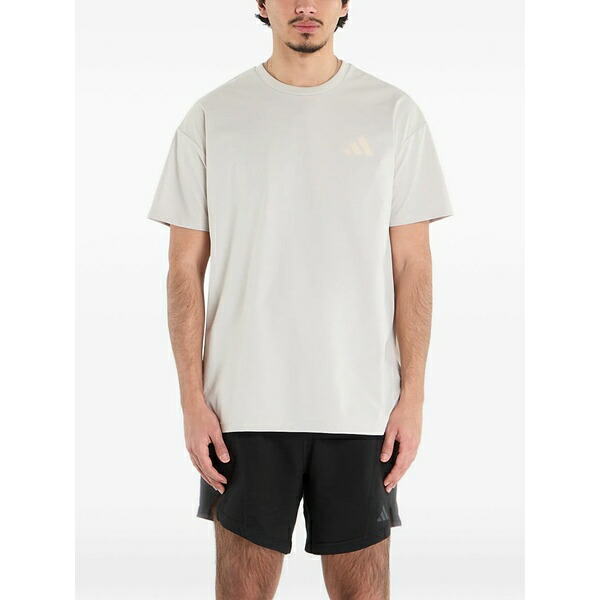 アディダス メンズ プルオーバー トップス Terrex xploric graphic t-shirt Neutrals