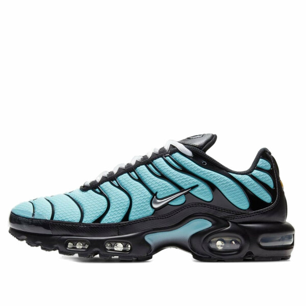 Nike ナイキ メンズ スニーカー 【Nike Air Max Plus 'Aqua Silver' CV8838-400】 サイズ US_M_13｜asty