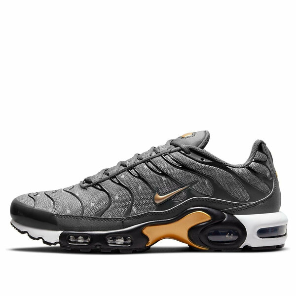 Nike ナイキ メンズ スニーカー  【Nike Air Max Plus SE \u0027Iron Grey Metallic Gold\u0027 DM7570-002】  大きさ US_11.5(29.5糎)