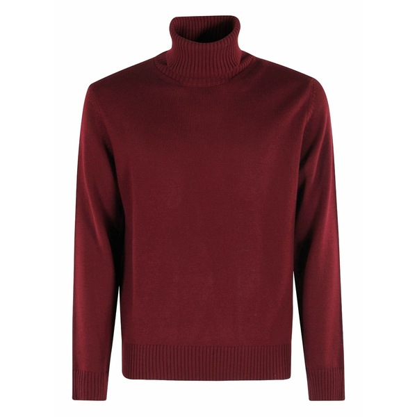アルテア メンズ ニット&セーター アウター Turtleneck sweater Red｜asty