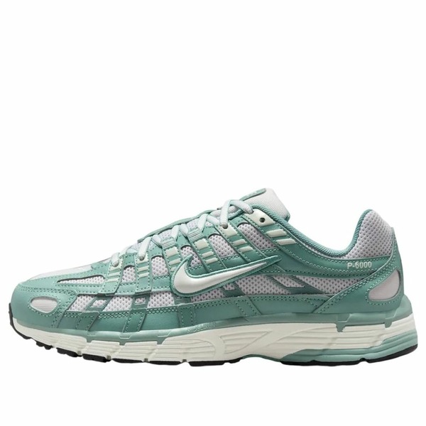 Nike ナイキ レディース スニーカー 【(WMNS) Nike P-6000 'Cannon Platinum Tint' BV1021-010】 サイズ US_W_10|asty