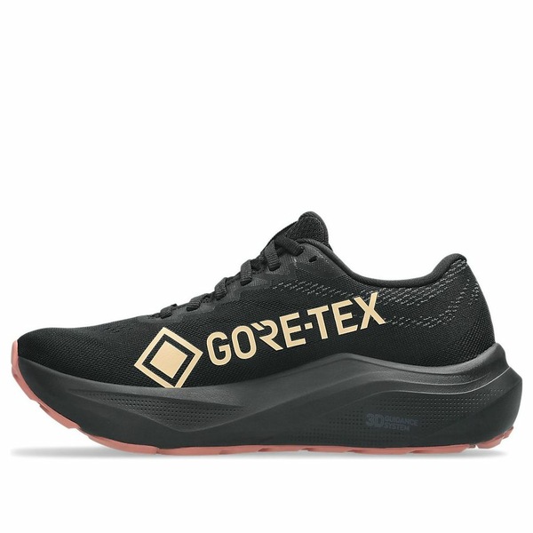 ASICS アシックス レディース スニーカー 【(WMNS) ASICS GT-2000 14 Gore-Tex 'Black Misty Pine' 1012B844-002】 サイズ US_W_10|asty