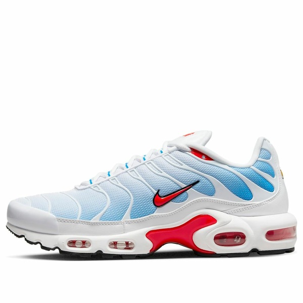 Nike ナイキ メンズ スニーカー  【Nike Air Max Plus \u0027Tide\u0027 604133-423】  大きさ US_M_14