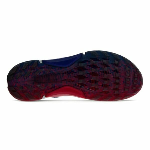 エコー メンズ ゴルフ BIOM Shoes ECCO スポーツ H4 Golf Men's BOA
