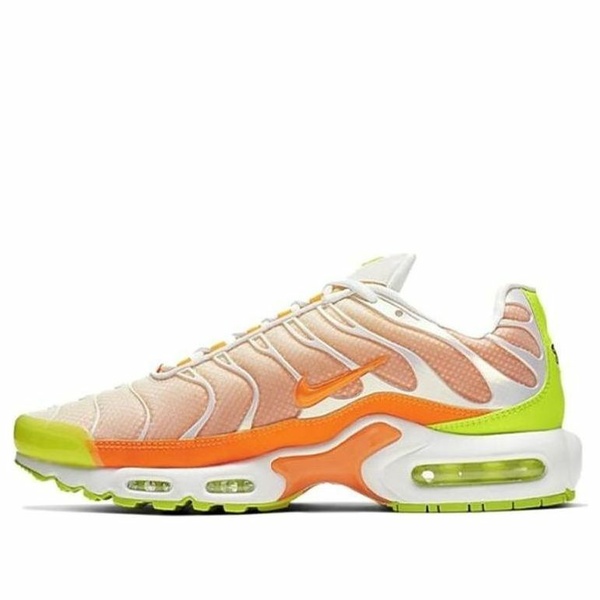 Nike ナイキ メンズ スニーカー  【Nike Air Max Plus \u0027Color Flip\u0027 CI5924-531】  大きさ US_9.5(27.5糎)
