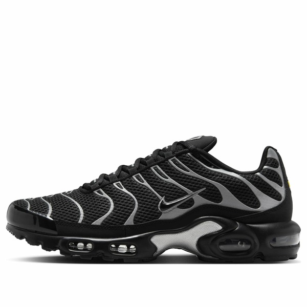 Nike ナイキ メンズ スニーカー  【Nike Air Max Plus Premium \u0027Black Reflective Silver\u0027 HQ3029-001】  大きさ US_11(29.0糎)