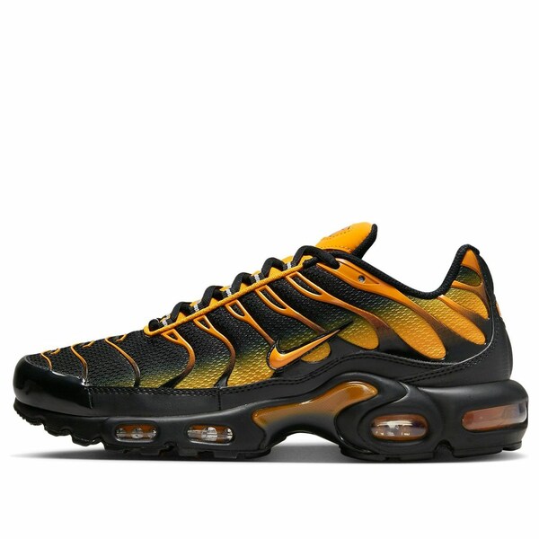 Nike ナイキ メンズ スニーカー  【Nike Air Max Plus \u0027Black Sundial\u0027 DM0032-007】  大きさ US_M_13