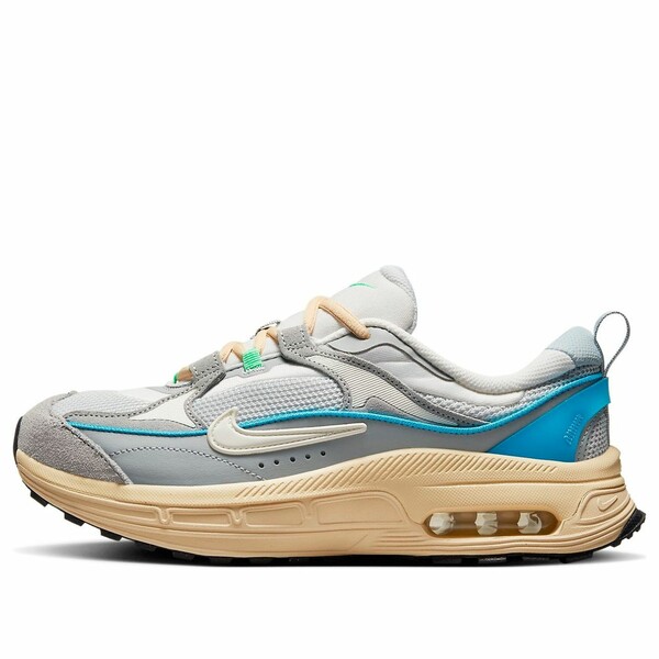 Nike ナイキ レディース スニーカー 【(WMNS) Nike Air Max Bliss 'Light Smoke Grey' FJ5441-077】 サイズ US_9(26.0cm)|asty
