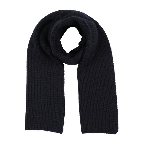 【貨物輸送無料】 ファビアナ フィリッピ レディース えり巻き・袈裟・えり巻き 付属物 Scarves Blue