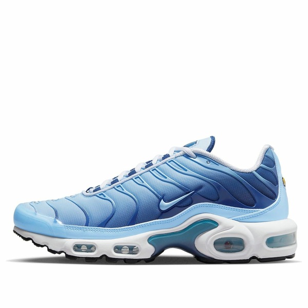 Nike ナイキ レディース スニーカー  【(WMNS) Nike Air Max Plus \u0027Celestine Blue\u0027 FJ4736-400】  大きさ US_W_12.5