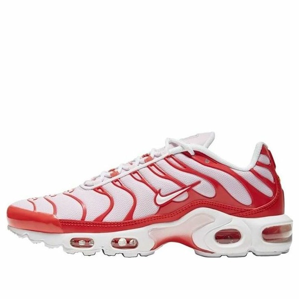 Nike ナイキ レディース スニーカー  【(WMNS) Nike Air Max Plus \u0027Valentine\u0027s Day\u0027 CW7040-600】  大いさ US_W_11
