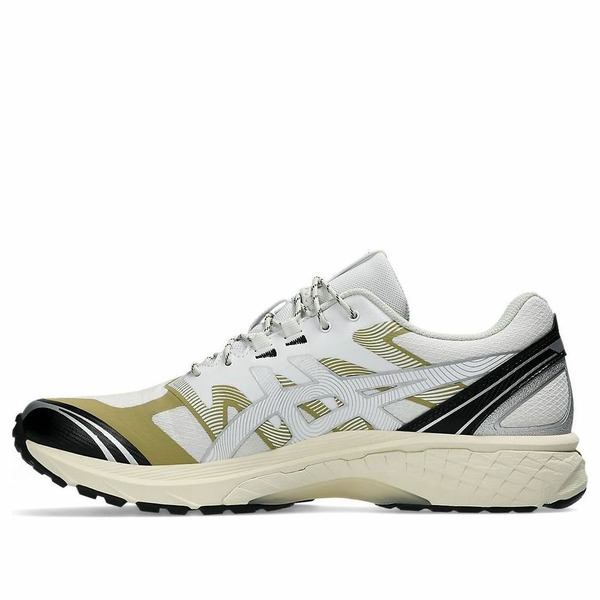 ASICS アシックス メンズ スニーカー 【ASICS Gel-Terrain 'White Lake Grey' 1203A342-100】 サイズ US_7(25.0cm)|asty