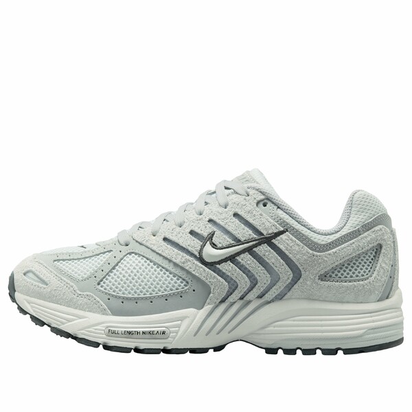Nike ナイキ レディース スニーカー 【(WMNS) Nike Air Pegasus 2005 'Wolf Grey Pure Platinum' HJ5271-001】 サイズ US_8.5(25.5cm)｜asty 48,480円