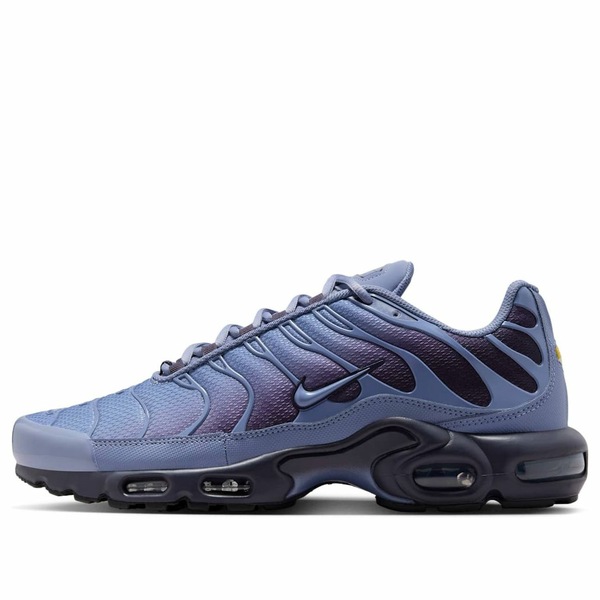 Nike ナイキ メンズ スニーカー 【Nike Air Max Plus 'World Indigo' DM0032-404】 サイズ US_8.5(26.5cm)｜asty