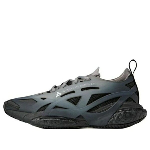 adidas アディダス レディース スニーカー 【(WMNS) adidas Solarglide AOP Boost 'Stone Grey' JS0258】 サイズ US_8(25.0cm)|asty