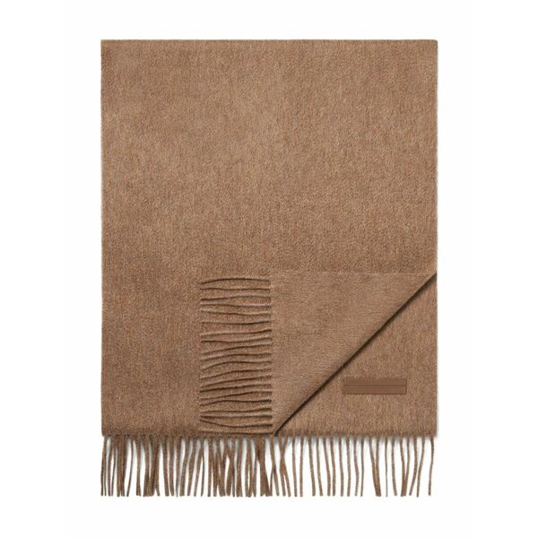 ゼニア メンズ えり巻き・袈裟・えり巻き 付属物 Fringed cashmere scarf Brown