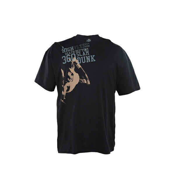 ジョーダン メンズ ティーシャツ トップス Flight 360 slam dunk luminous t-shirt Black