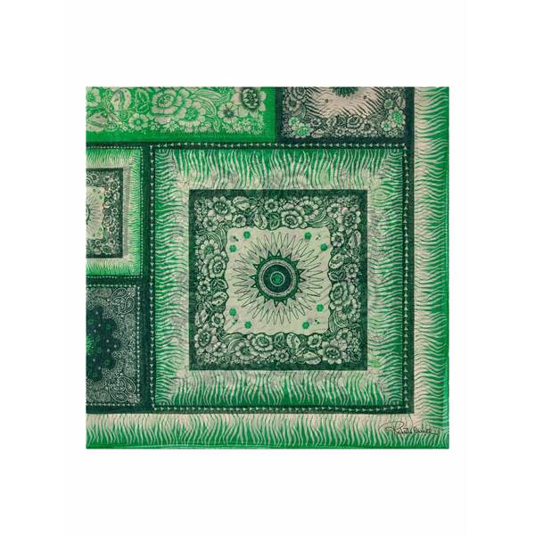 ロベルトカヴァリ レディース えり巻き・袈裟・えり巻き 付属品 Zebra-pattern silk scarf Green