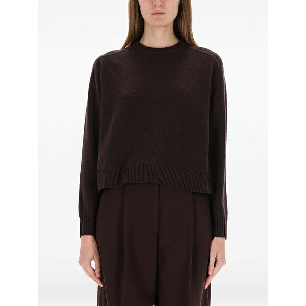 行動論理 レディース 編み物\u0026プルオーバー アウター Cashmere sweater Brown
