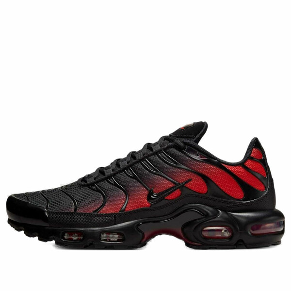 Nike ナイキ メンズ スニーカー  【Nike Air Max Plus \u0027Black Noble Red\u0027 DM0032-021】  大きさ US_11(29.0珊)