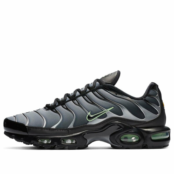 Nike ナイキ メンズ スニーカー  【Nike Air Max Plus \u0027Particle Grey Vapour Green\u0027 CZ7552-001】  大きさ US_9.5(27.5糎)