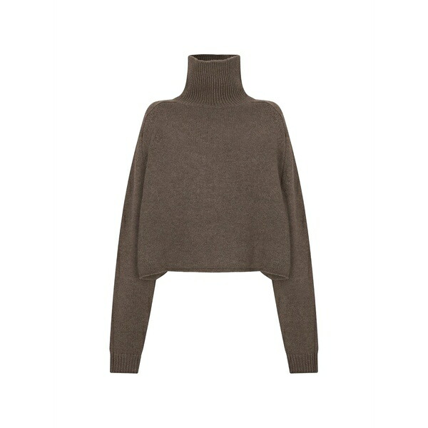 リサ・ヤン レディース 編み物\u0026スウェーター アウター Roll-neck long-sleeve sweater Brown