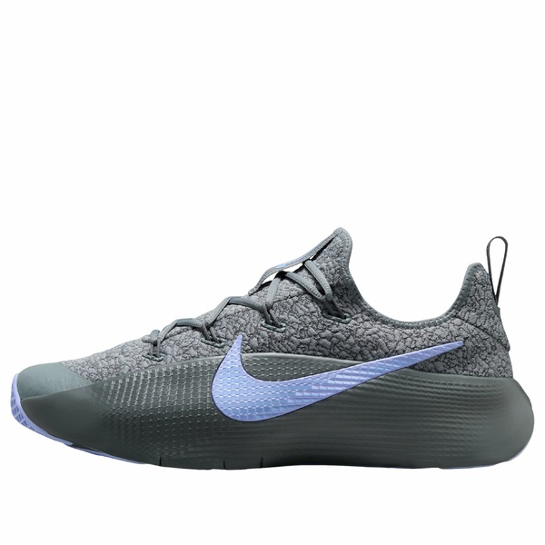 Nike ナイキ メンズ スニーカー 【Nike LeBron TR 1 'Cool Gray Iron Gray Aluminum' FJ6151-008】 サイズ US_12.5(30.5cm)|asty