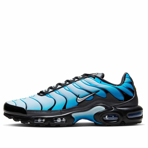Nike ナイキ メンズ スニーカー  【Nike Air Max Plus \u0027Blue Gradient\u0027 FQ0204-010】  大きさ US_12(30.0糎)