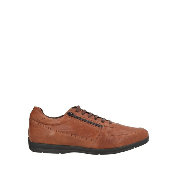 【送料無料】 ジェオックス メンズ スニーカー シューズ Sneakers Brown