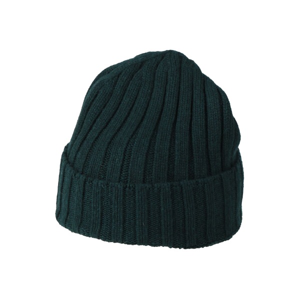 【送料無料】 アラゴナ レディース 帽子 アクセサリー Hats Green｜asty