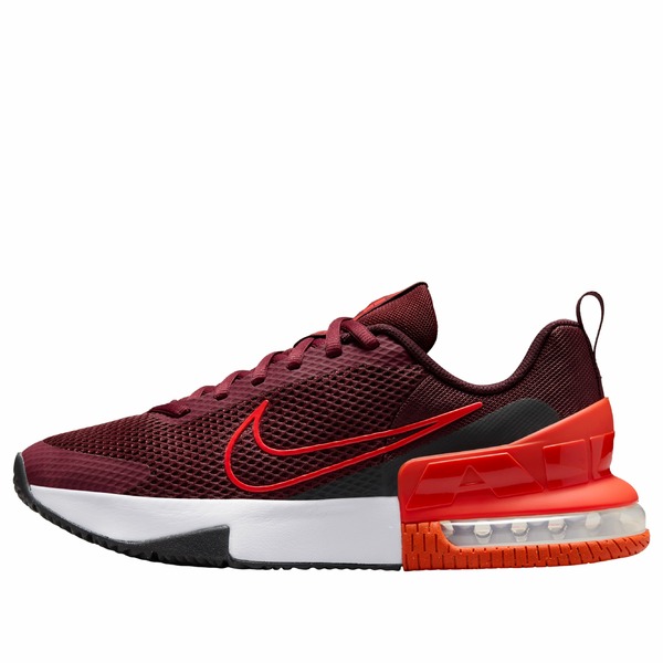Nike ナイキ メンズ スニーカー 【Nike Air Max Alpha Trainer 6 'Dark Team Red Burgundy' FQ1833-600】 サイズ US_12(30.0cm)|asty