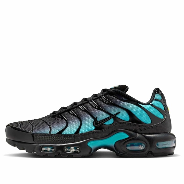 Nike ナイキ メンズ スニーカー  【Nike Air Max Plus \u0027Black Dusty Cactus\u0027 DM0032-016】  大いさ US_11.5(29.5珊) スニーカー-靴
