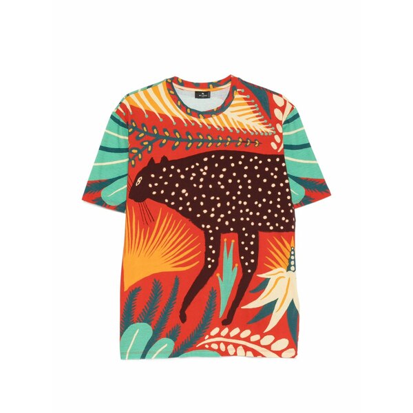 エトロ レディース Tシャツ トップス Graphic-print short-sleeves t-shirt Red｜asty