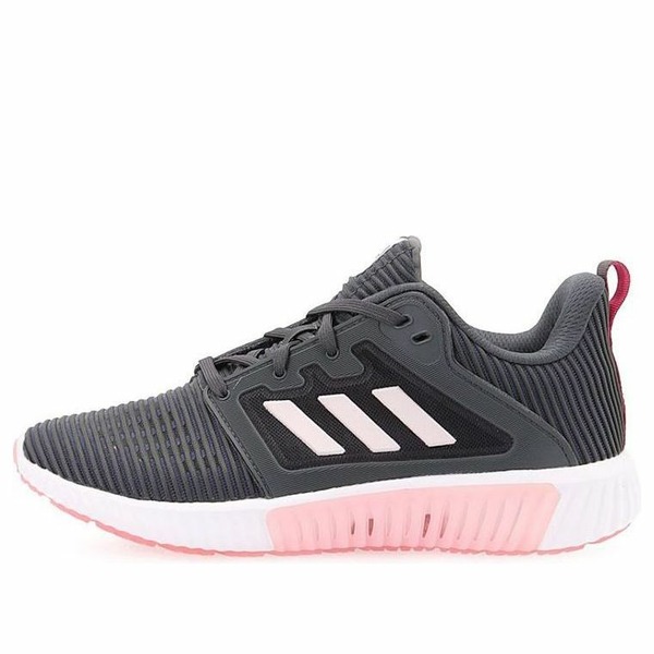 adidas アディダス レディース スニーカー 【(WMNS) adidas CLIMACOOL VENT W 'Grey White' B41603】 サイズ US_5.5(22.5cm)|asty
