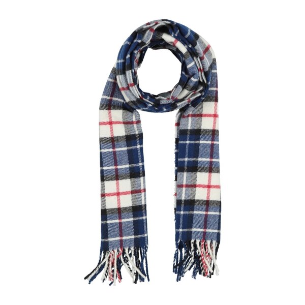 【送料無料】 ガント メンズ マフラー・ストール・スカーフ アクセサリー Scarves Blue｜asty 15,315円